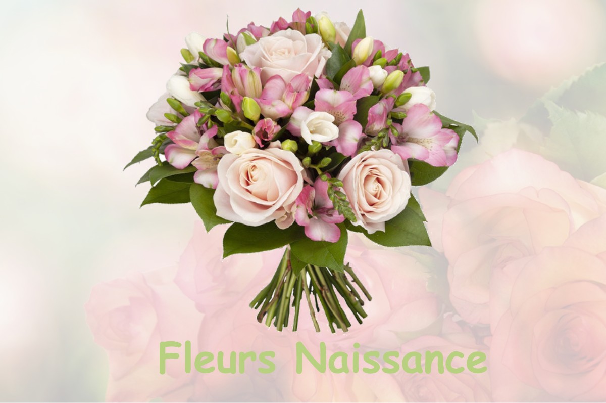 fleurs naissance CAZEAUX-DE-LARBOUST